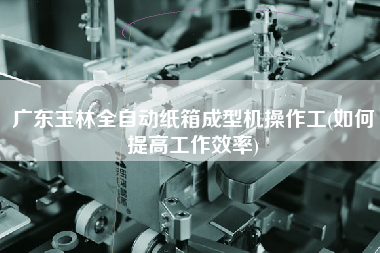 廣東玉林全自動(dòng)紙箱成型機(jī)操作工(如何提高工作效率)