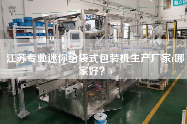 江蘇專業(yè)迷你給袋式包裝機(jī)生產(chǎn)廠家(哪家好？)