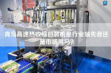 青島高速熱收縮包裝機(jī)是行業(yè)領(lǐng)先者還是市場(chǎng)黑馬？