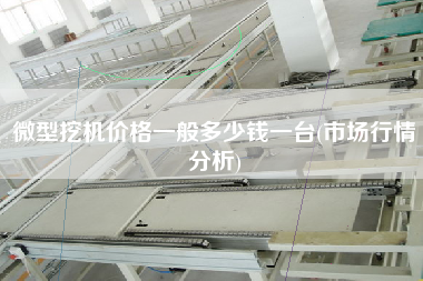 微型挖機(jī)價(jià)格一般多少錢(qián)一臺(tái)(市場(chǎng)行情分析)