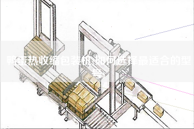 鴨蛋熱收縮包裝機(jī)(如何選擇z適合的型號)