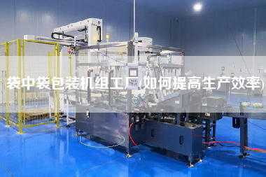 袋中袋包裝機組工廠(如何提高生產(chǎn)效率)