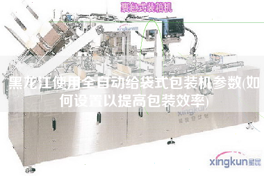 黑龍江使用全自動(dòng)給袋式包裝機(jī)參數(shù)(如何設(shè)置以提高包裝效率)