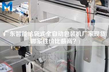 廣東智能給袋式全自動包裝機廠家現(xiàn)貨(哪家性價比z高？)