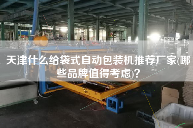 天津什么給袋式自動(dòng)包裝機(jī)推薦廠家(哪些品牌值得考慮)？