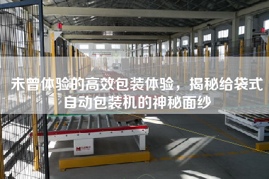 未曾體驗的高效包裝體驗，揭秘給袋式自動包裝機的神秘面紗