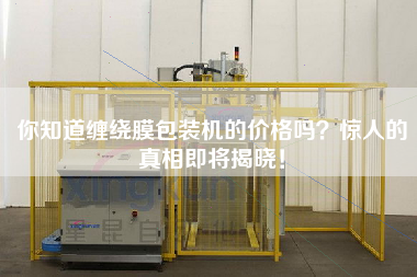 你知道纏繞膜包裝機(jī)的價(jià)格嗎？驚人的真相即將揭曉！