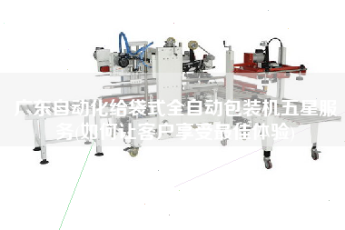 廣東自動化給袋式全自動包裝機(jī)五星服務(wù)(如何讓客戶享受z佳體驗(yàn))