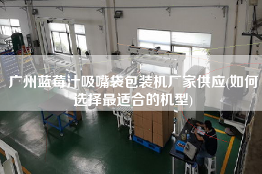 廣州藍(lán)莓汁吸嘴袋包裝機(jī)廠家供應(yīng)(如何選擇z適合的機(jī)型)