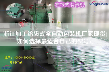 浙江加工給袋式全自動包裝機廠家現(xiàn)貨(如何選擇z適合自己的型號)。