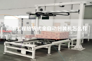 湖南工程給袋式全自動包裝機(jī)怎么樣