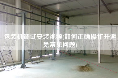 包裝機(jī)調(diào)試安裝視頻(如何正確操作并避免常見(jiàn)問(wèn)題)