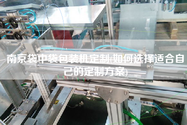 南京袋中袋包裝機(jī)定制(如何選擇適合自己的定制方案)