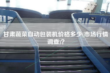 甘肅蔬菜自動(dòng)包裝機(jī)價(jià)格多少(市場(chǎng)行情調(diào)查)？